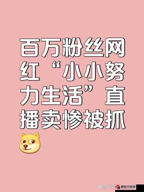 3元10000粉丝自助下单，流量密码还是虚假泡沫